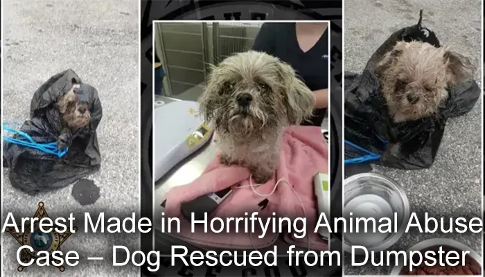 Arrest Made in Horrifying Animal Abuse Case – Dog Rescued from Dumpster