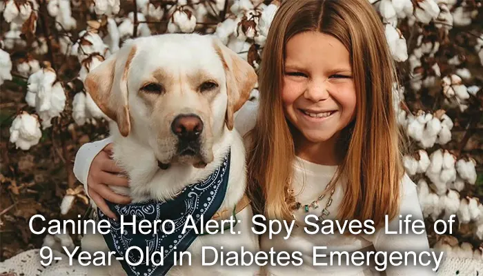 Canine Hero Alert: Spy Saves Life of 9-Year-Old in Diabetes Emergency