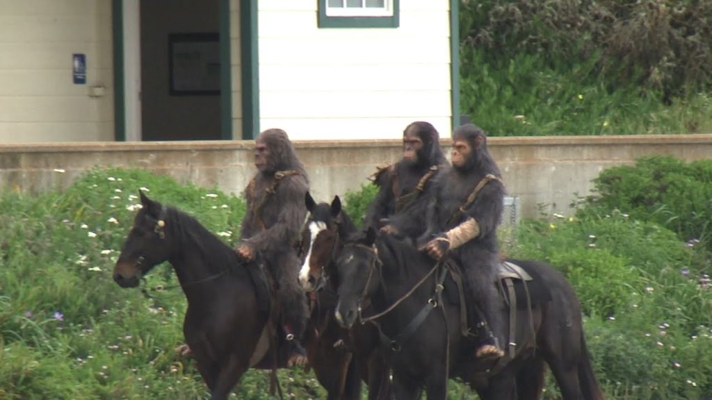 Horse Riding Apes Invade San Francisco - Not Really, They're Actors Promoting Upcoming Film