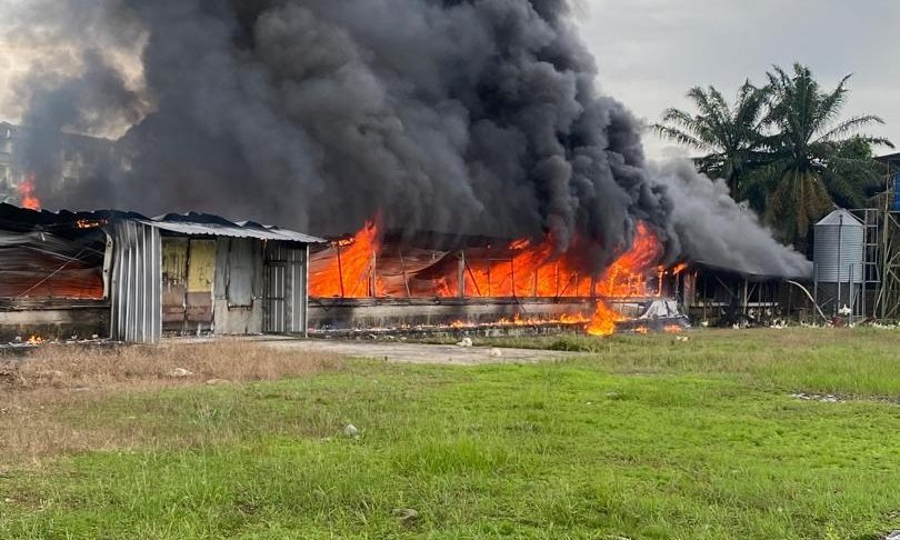 5,000 Chickens Perish in Major Poultry Farm Fire in Kuching