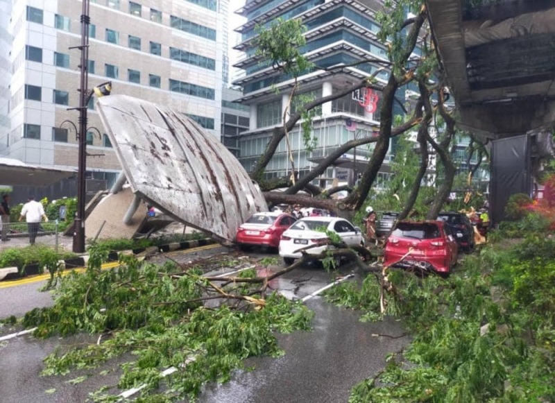 One Killed, Another Injured After Tree Falls on Road, Monorail Track along KL’s Jalan Sultan Ismail