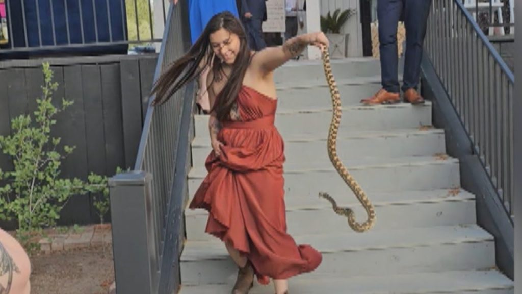 Sister of the Bride Turns Emergency Snake Wrangler at Wedding in Florence, Arizona