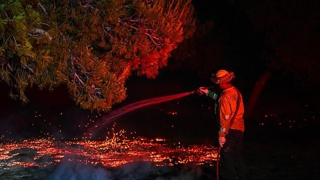 California Wildfire Crisis Wind-Driven Blaze Scorches 11,000 Acres, Forces Evacuations, and Injures Firefighters