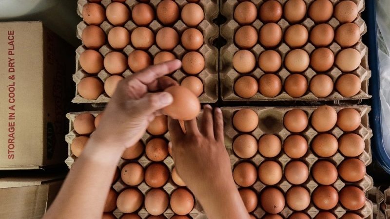 Drop in Egg Prices Brings Relief to Sabah and Sarawak Consumers