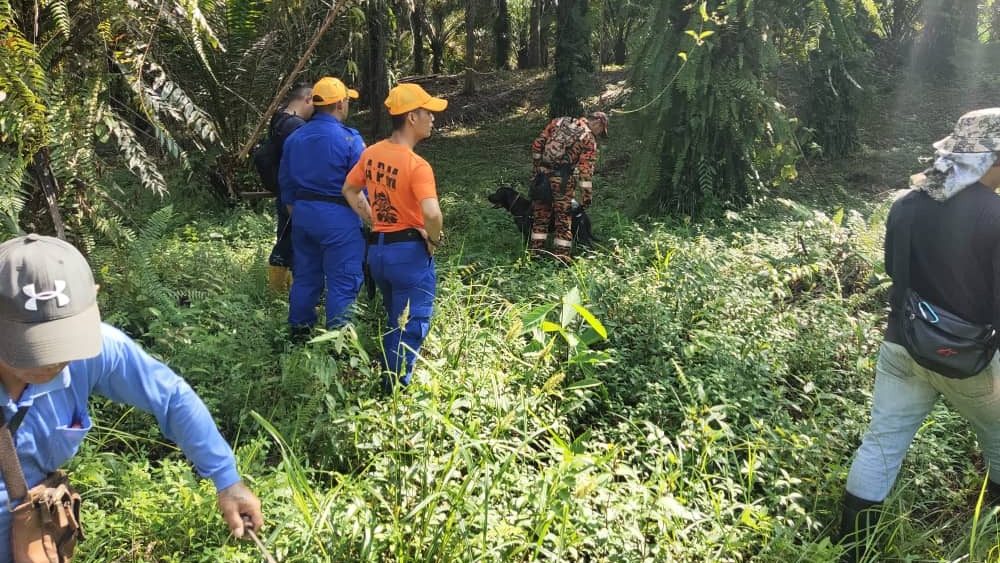 Elderly Man Disappears While Foraging for Ferns in Serian Forest