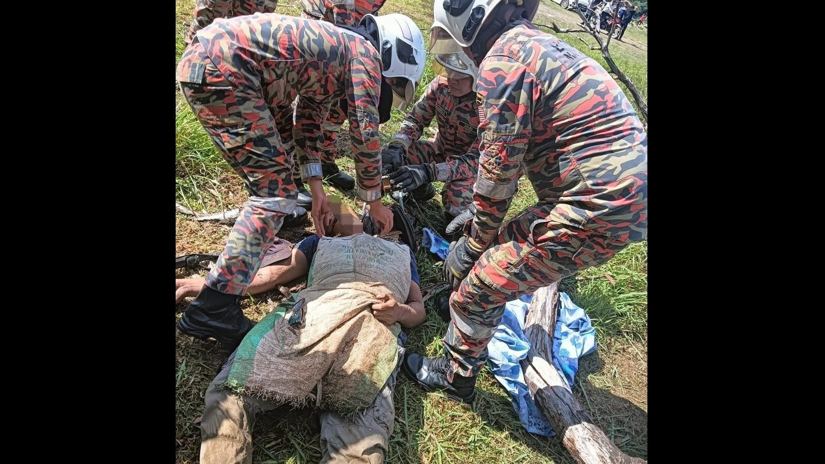 Grasscutter Killed by Fallen Tree in Kota Kinabalu