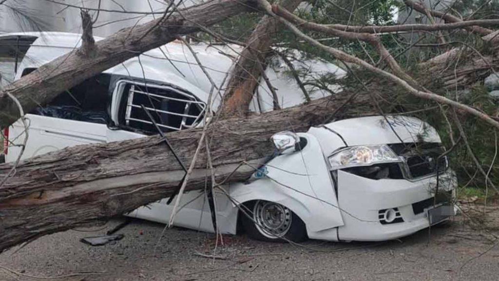 Tragic Incident in Lahad Datu Falling Tree Crushes Van, Kills Police Corporal