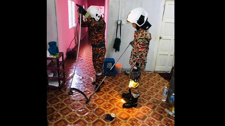 Heroic Firemen Capture 3-Metre-Long Cobra at Marudi Residence