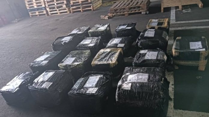 Sarawak Forestry Seizes RM250k in Illegal Bird's Nests from Sabah in Major Smuggling Bust