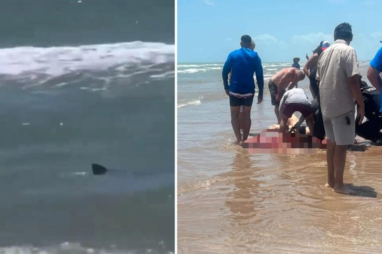 Shark Attacks Spark Fear Among Beachgoers Over July 4th Holiday