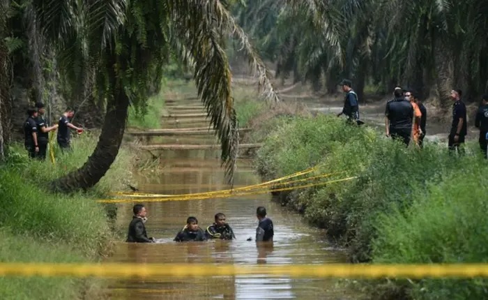 Shocking Discovery Cops Find Phone Believed to Be Nur Farah Kartini's in Oil Palm Estate Drain