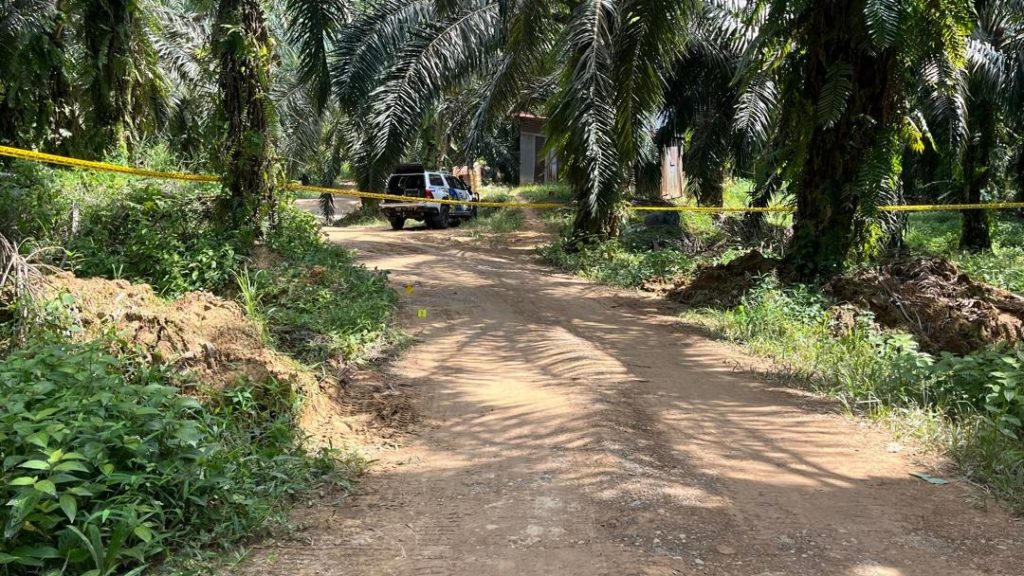 Tragic Murder at Niah Oil Palm Estate Foreign National Found with Multiple Gunshot Wounds