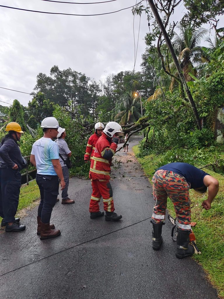 Fallen Tree Causes Power Outage in Lorong Three Hills Park Ongoing Restoration Efforts in Sarawak