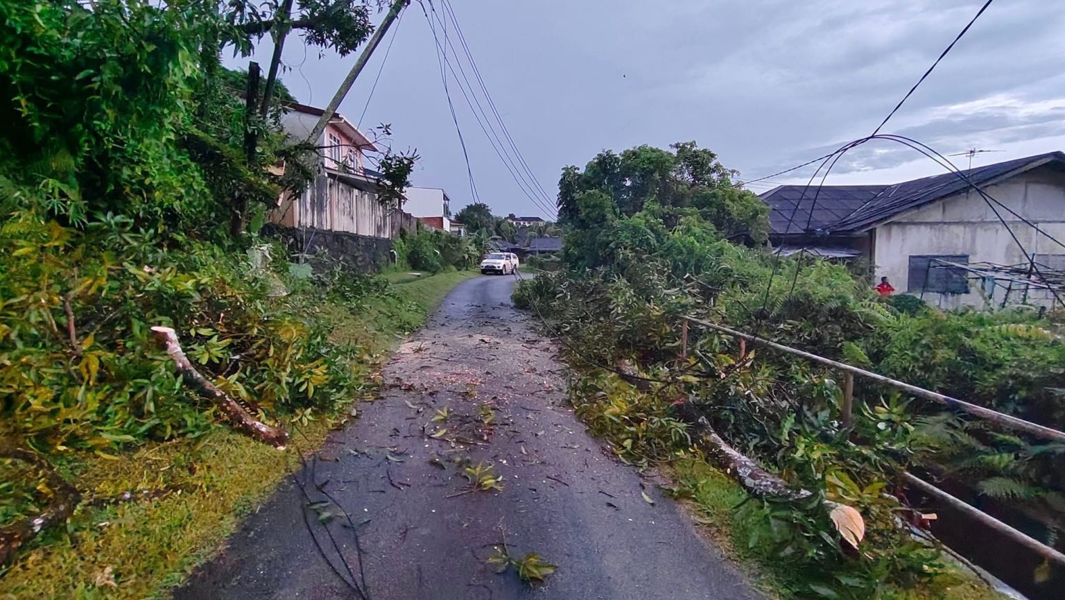 Fallen Tree Causes Power Outage in Lorong Three Hills Park Ongoing Restoration Efforts in Sarawak