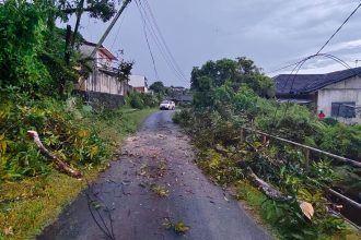 Fallen Tree Causes Power Outage in Lorong Three Hills Park Ongoing Restoration Efforts in Sarawak