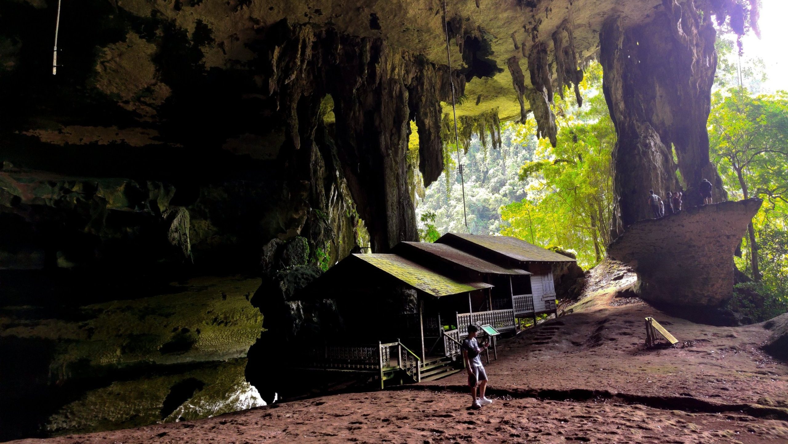 Niah Caves Unveiling the Ancient Secrets of Borneo's Human Settlement