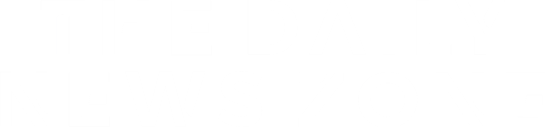 The Daily News Zone Logo - White