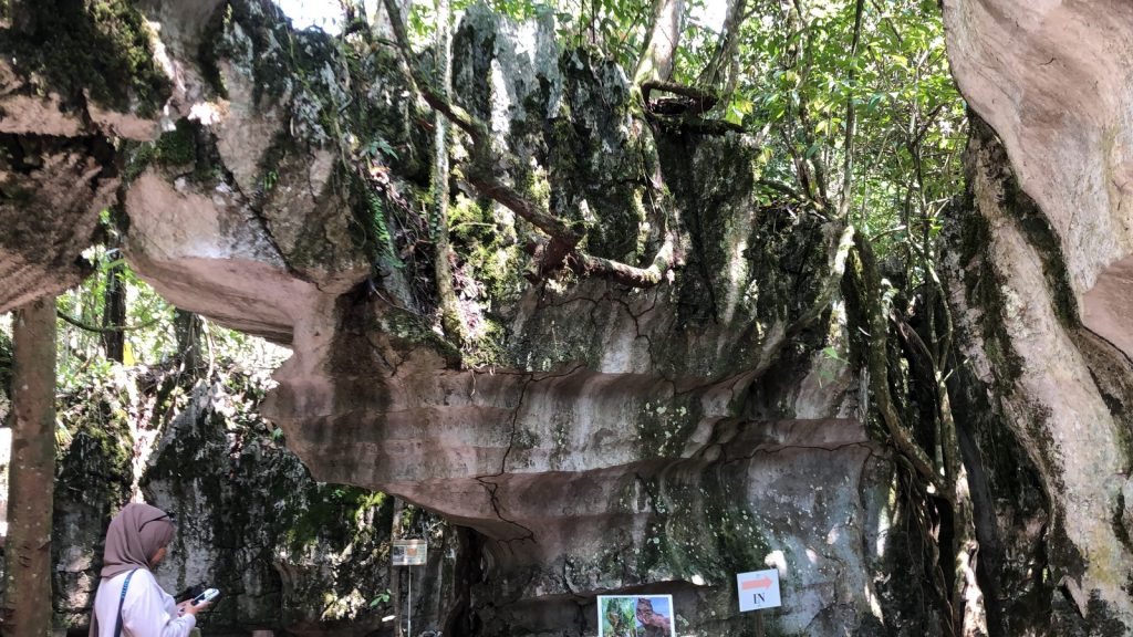 Exploring Paku Rock Maze Garden – Where Nature Becomes Adventure