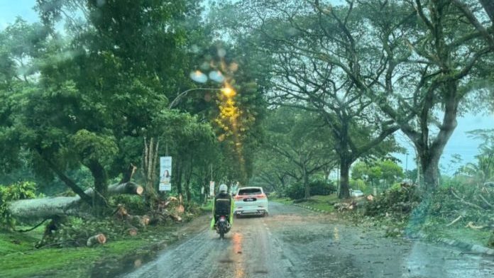 Heavy Rain and Strong Winds Cause Uprooted Trees and Traffic Chaos in Kuching