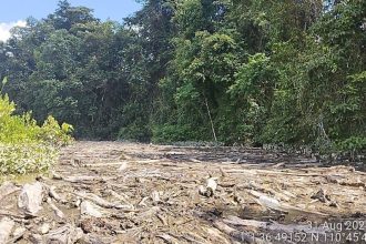 NREB Takes Strong Action Against Company for Logjam in Balai Ringin: Immediate Cleanup Ordered