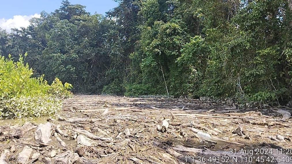 NREB Takes Strong Action Against Company for Logjam in Balai Ringin: Immediate Cleanup Ordered