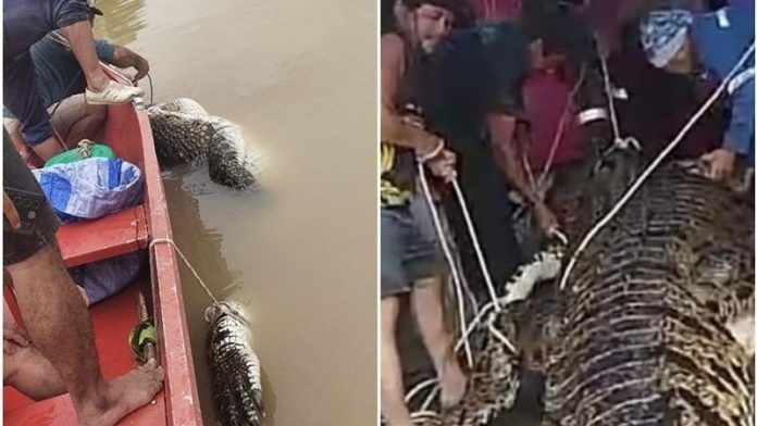 Two Crocodiles Captured After Ritual in Tatau Human Teeth Found Inside, Suspected Connection to Missing 6-Year-Old