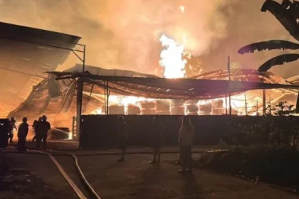 Fire Destroys Bintulu Chip Storage Facility, Causes Major Damage