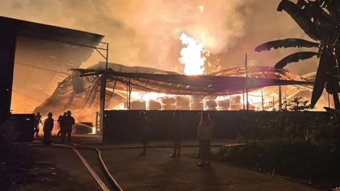 Fire Destroys Bintulu Chip Storage Facility, Causes Major Damage