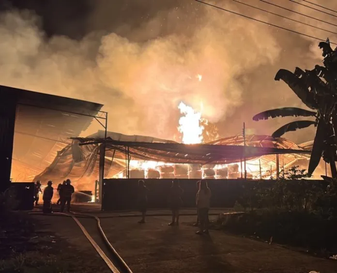 Fire Destroys Bintulu Chip Storage Facility, Causes Major Damage