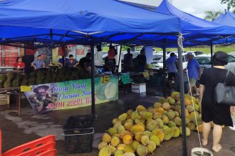 Durian Season in Kuching Best Spots to Satisfy Your Cravings