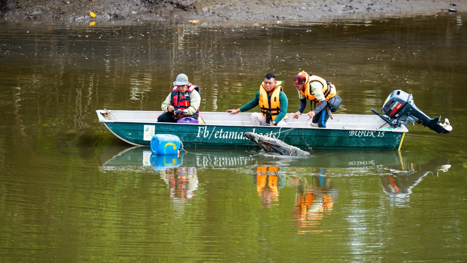 Ops Nyah Buaya Another 10-Foot Crocodile Captured in Kuching