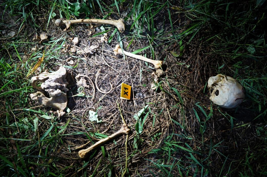 Shocking Discovery Human Skull and Bones Found on Miri-Bintulu Road