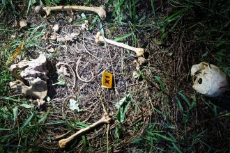 Shocking Discovery Human Skull and Bones Found on Miri-Bintulu Road