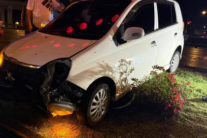 Female Driver Crashes Into Decorative Kangaroo at Mile 3