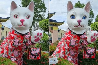 Padungan White Cat’s Outfit Sparks Debate Mayor Clarifies Intentions