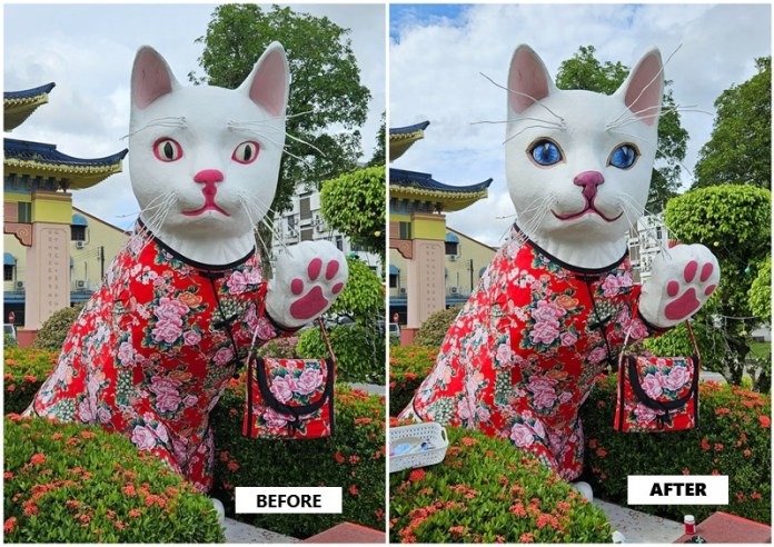 Padungan White Cat’s Outfit Sparks Debate Mayor Clarifies Intentions